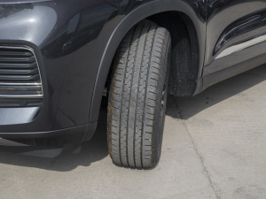 2022290TGDI DCT+ (x)(ji)^