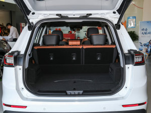 2022Hi 390TGDI DCT(q)ҫ g