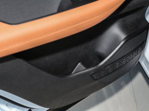 2022Hi 390TGDI DCT(q)ҫ Tg