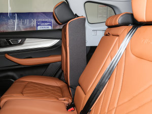 2022Hi 390TGDI DCTҫ g