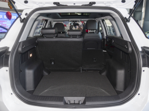 2022 ܰ 1.5T CVTʿ g