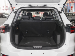 2022ܰ 1.5T CVTӢ g