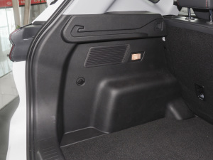 2022ܰ 1.5T CVTӢ g