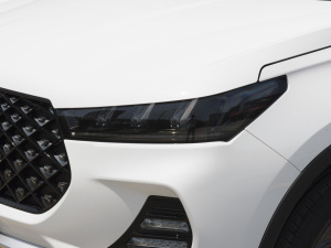 2022ܰ 1.6T DCTӢ+ 