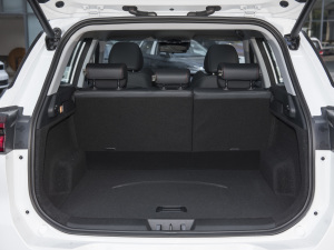 2022ܰ 1.6T DCTӢ+ g