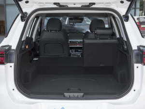 2022ܰ 1.6T DCTӢ+ g