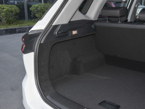 2022ܰ 1.6T DCTӢ+ g