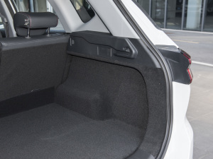 2022ܰ 1.6T DCTӢ+ g