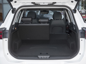 2022ܰ 1.6T DCTӢ+ g