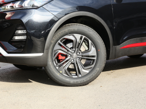 2022ܰ 1.6T DCTʿ ݆Ȧ