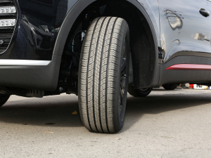 2022ܰ 1.6T DCTʿ (x)(ji)^