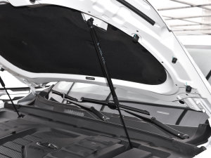 2022ܰ 1.5T CVTʿ+ 