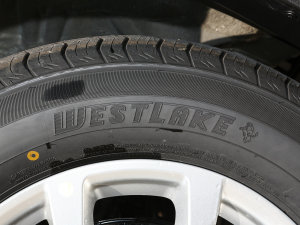 2022ܰ 1.5T CVTlʿ+ ݆̥Ʒ