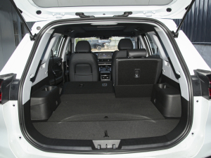 20221.5TCI ք(dng)ع 5 g