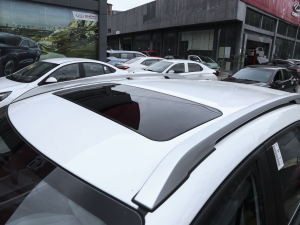 2022款PLUS 1.5L CVT时尚版 车顶