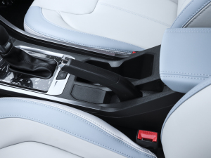 2022PLUS 1.5L CVTrа v܇Ƅ