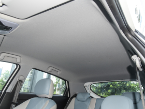 2022@ʯ 1.5L քӾӢ п؅^(q)