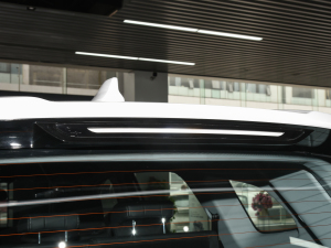 2022PHEV 1.5Te+ (ji)^