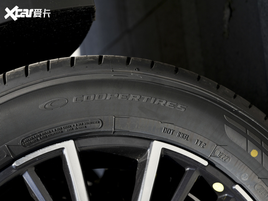 20228 PRO 290T 嫰 5