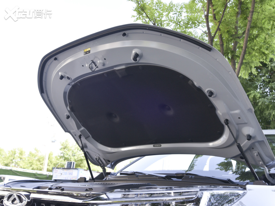 20228 PRO 290T 嫰 5