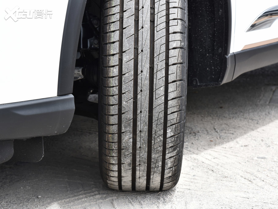 20228 PRO 290T (q)H 7