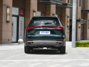 2022款290T 两驱风暴版 5座 正后	