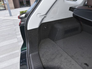 2022290T (q)L(fng) 5 g