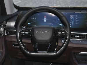 2022款290T 两驱风暴版 5座 方向盘