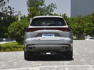 2022款290T 两驱浩瀚版 5座 正后	