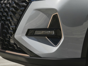 2022款290T 两驱浩瀚版 5座 前雾灯