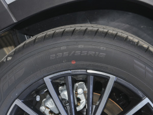 2022290T 嫰 5 ݆̥ߴ