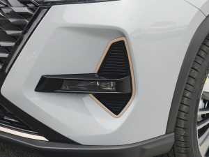 2022款390T 两驱浩瀚版 5座 前雾灯