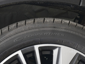 2022390T 嫰 5 ݆̥Ʒ