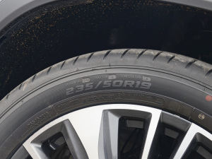 2022390T 嫰 5 ݆̥ߴ