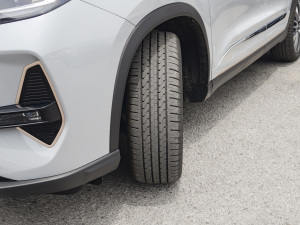 2022390T (q)嫰 5 (x)(ji)^