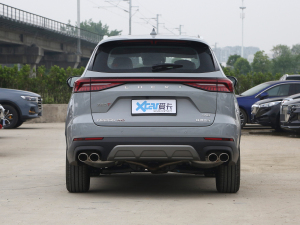 2022款390T 四驱风暴版 5座 正后	
