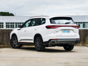 2022款290T 两驱天穹版 5座 左后45度