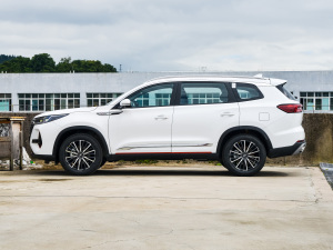 2022款290T 两驱天穹版 5座 正侧（左）