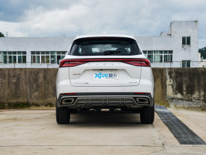 2022款290T 两驱天穹版 7座 正后	