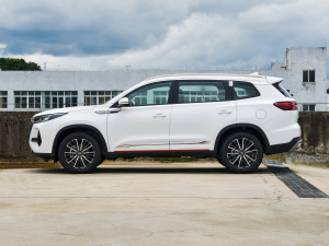 2022款290T 两驱天穹版 7座 正侧（左）
