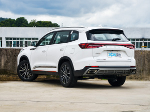 2022款290T 两驱天穹版 7座 左后45度
