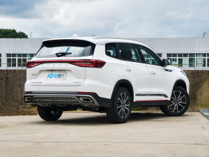 2022款290T 两驱天穹版 7座 右后45度
