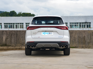 2022款390T 两驱天穹版 5座 正后	