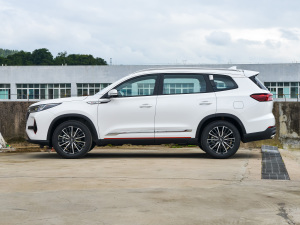 2022款390T 两驱天穹版 5座 正侧（左）