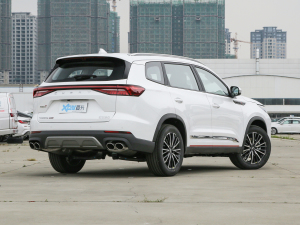 2022款390T 两驱天穹版 7座 右后45度