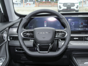 2022款390T 两驱天穹版 7座 方向盘