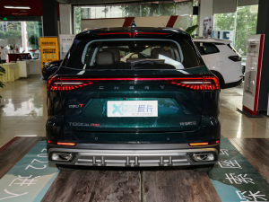 2022款290T 两驱浩瀚版 7座 正后	