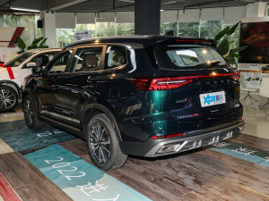 2022款290T 两驱浩瀚版 7座 左后45度