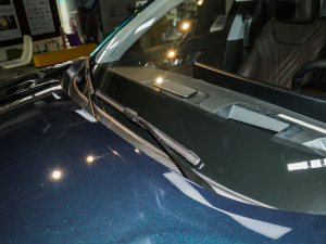 2022290T (q)嫰 7 ˢ