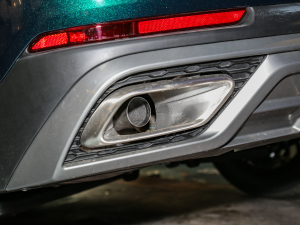 2022290T (q)嫰 7 Ś